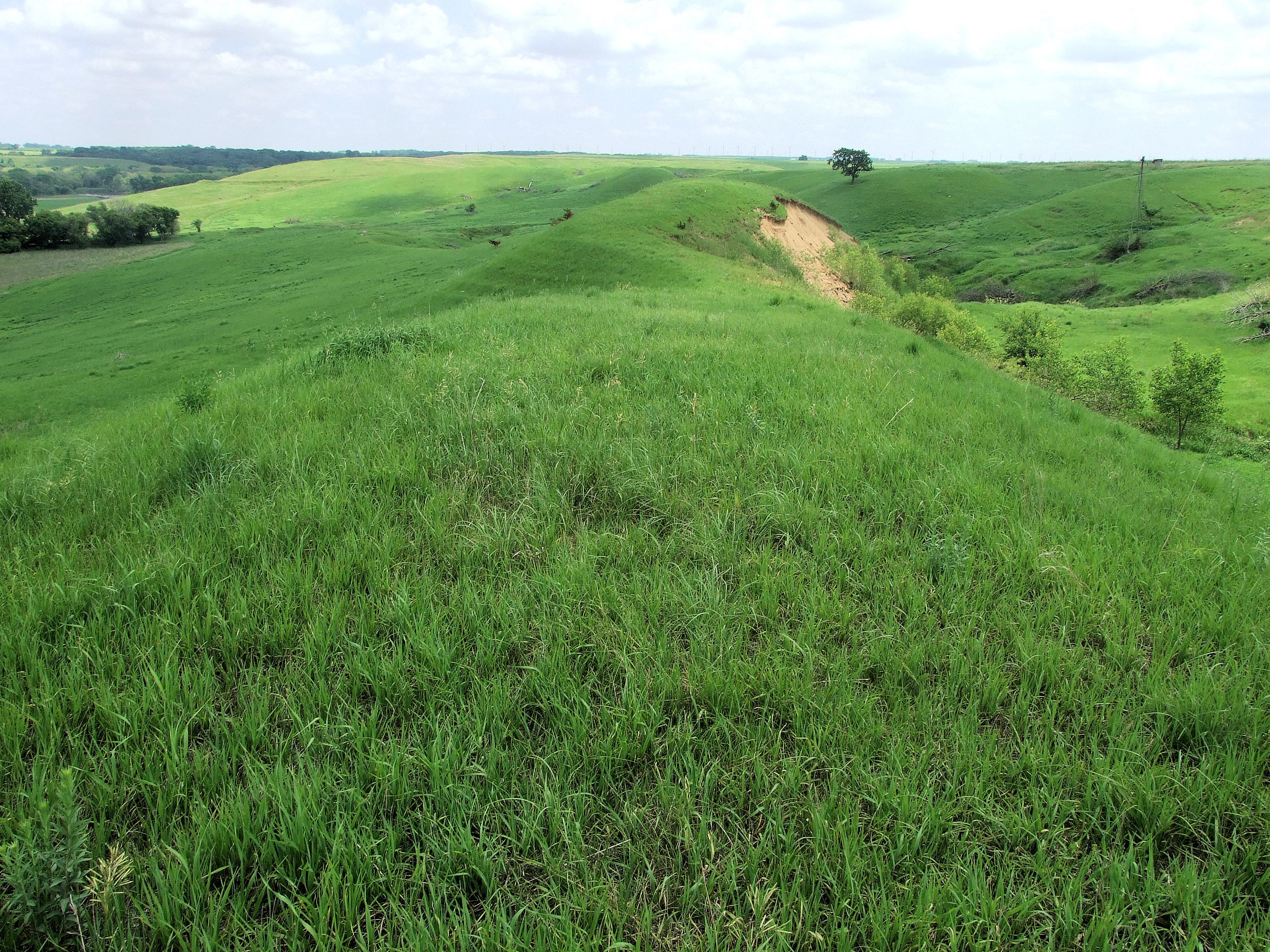 Waterman Prairie