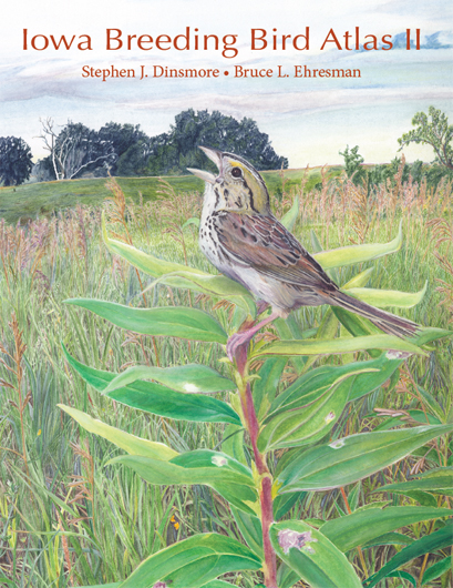 BBA II Book