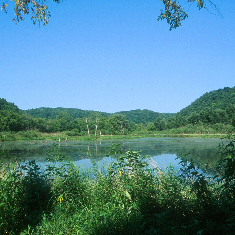 Yellow River Forest - Doug Harr